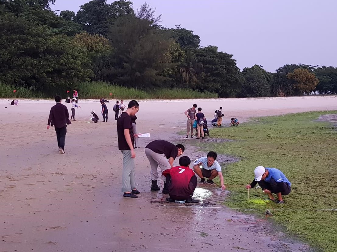 Authentic Assessment in groups: Fieldwork at Lazarus Island